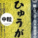 【特級品】 ひゅうが軽石 (中粒)18L 日向土 日向つち 日向石 ひゅうが土 ひゅうが石 園芸用軽石 軽石 鉢底石 底石 水に沈む軽石 多肉 多肉植物 蘭 洋蘭 胡蝶蘭 挿し木 用土 専用土 土 つち