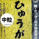 【特級品】 ひゅうが軽石 （中粒）18L 日向土 日向つち 日向石 ひゅうが土 ひゅうが石 園芸用軽石 軽石 鉢底石 底石 水に沈む軽石 多肉 多肉植物 蘭 洋蘭 胡蝶蘭 挿し木 用土 専用土 土 つち