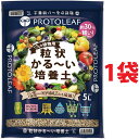 land-plants:10069060のサンプル画像1