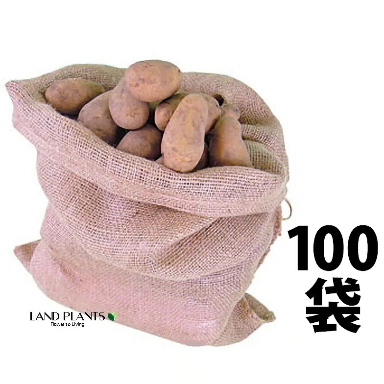 ドンゴロス（収穫ぶくろ） 100枚 大 600×1000mm 麻土嚢袋 土のう袋 ドンゴロス袋 収穫袋 麻袋 麻ぶくろ 麻土のう袋 土嚢 どのう 日本マタイ