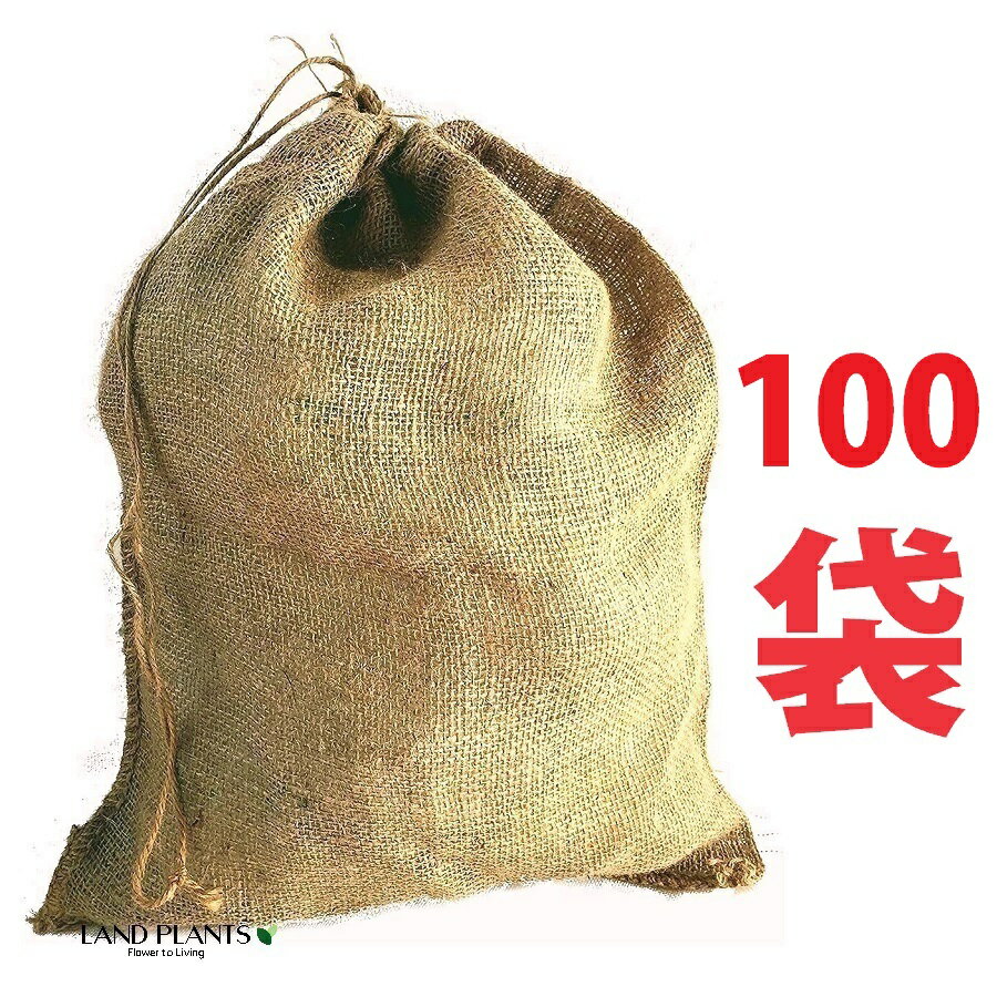 麻土嚢袋（土のう袋） 100枚 大 600×1000mm ドンゴロス ドンゴロス袋 収穫袋 収穫ぶくろ 麻袋 麻ぶくろ 麻土のう袋 土嚢 どのう 日本マタイ