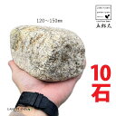 五郎太サビ 4寸〜5寸 (10石) (約120mm〜150mm) ゴロタ石 ごろた サビ さび ごろたサビ 庭 ガーデン 石 土留め 栗石 ロック sekiza...