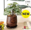 【人工観葉植物】 ペペロミア(サンデルシー:スイカペペ) ウッド風 ペイント 陶器鉢 1鉢 【ココファイバー・受皿】 ペペロミア ペペ スイカペペロミア スイカ 造花 観葉植物造花 20924-A Peperomia argyreia Objet Plants