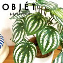 OBJET ペペロミア(サンデルシー:スイカペペ)白色 受皿一体式 シリンダー型 陶器鉢 1鉢 【ココファイバー・受皿】【人工観葉植物】造花 観葉植物 ペペロミア スイカペペロミア 20924-A Peperomia argyreia Objet Plants