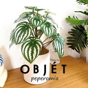 OBJET ペペロミア(サンデルシー:スイカペペ) 白色 受皿一体式 シリンダー型 陶器鉢 1鉢 【ココファイバー・受皿】【人工観葉植物】造花 観葉植物 ペペロミア スイカペペロミア 20924-A Peperomia argyreia Objet Plants