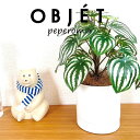 OBJET ペペロミア(サンデルシー:スイカペペ) 白色 受皿一体式 シリンダー型 陶器鉢 1鉢 【ココファイバー・受皿】【人工観葉植物】造花 観葉植物 ペペロミア スイカペペロミア 20924-A Peperomia argyreia Objet Plants