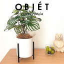 OBJET ペペロミア(サンデルシー:スイカペペ) アイアンスタンド付き 陶器鉢 白色 Sサイズ 【ココファイバー・スタンド】 【人工観葉植物】造花 観葉植物 ペペロミア スイカペペロミア 20924-A Peperomia argyreia Objet Plants