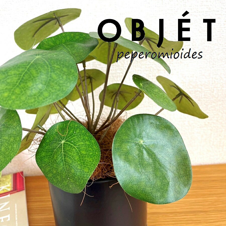【人工観葉植物】OBJET ピレア（ペペロミオイデス） 黒色 受皿一体式 シリンダー型 陶器鉢 1鉢 【ココファイバー・受皿】造花 観葉植物 ピレアペペロミオイデス 56724-A Pilea peperomioides Objet Plants
