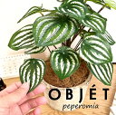 OBJET ペペロミア(サンデルシー:スイカペペ) 白色 モスポット シリンダー型 陶器鉢 1鉢 【ココファイバー】【人工観葉植物】造花 観葉植物 ペペロミア スイカペペロミア 20924-A Peperomia argyreia Objet Plants