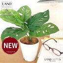 OBJET マドカズラ(モンステラ) 4号 白色 プラスチック鉢 1鉢 【ココファイバー】【人工観葉植物】造花 観葉植物 鳳来蕉 モンステラ 75334-A Pothos Monstera adansonii(4)