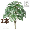 【人工観葉植物】 ペペロミア(サンデルシー:スイカペペ) ブーケ (2本) ペペロミア ペペ スイカペペロミア スイカ 造花 観葉植物造花 20924-A Peperomia argyreia