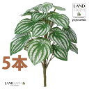 【人工観葉植物】 ペペロミア(サンデルシー:スイカペペ) ブーケ (5本) ペペロミア ペペ スイカペペロミア スイカ 造花 観葉植物造花 20924-A Peperomia argyreia