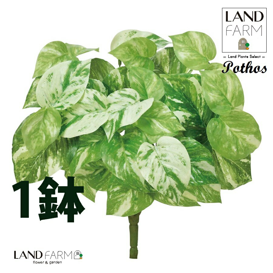 OBJET ポトス（オーレア） ブーケ（1本） 【人工観葉植物】造花 観葉植物 オウゴンカズラ 黄金葛 葛 34334-A Pothos Objet Plants