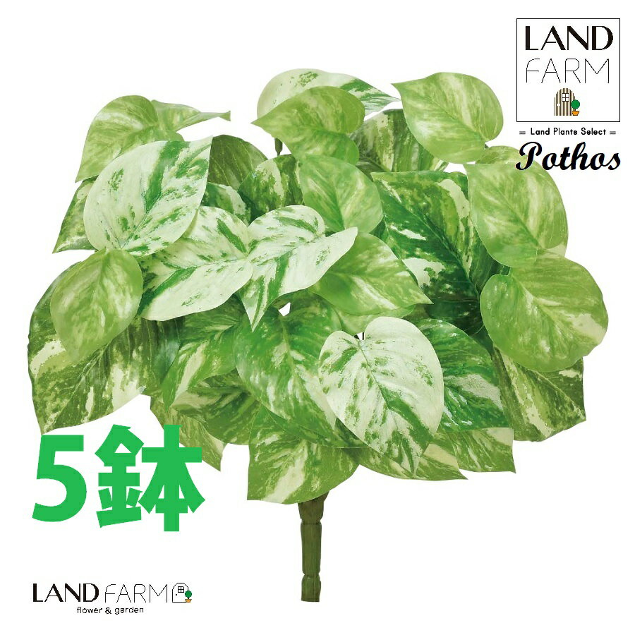 OBJET ポトス（オーレア） ブーケ（5本） 【人工観葉植物】造花 観葉植物 オウゴンカズラ 黄金葛 葛 34334-A Pothos Objet Plants