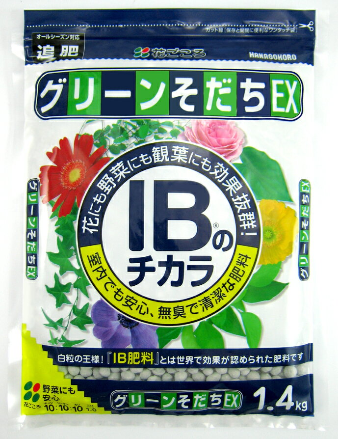 IB̃`JO[EX@1.4kg