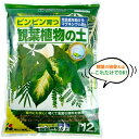 【大袋】 観葉植物の土 (12リッター) 失敗しない。失敗させない。ピンピン育つ 専用用土シリーズ ウンベラータ ガジュマル 敬老の日 ポイント消化 観葉植物