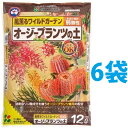 オージープランツの土　12L （6袋）（風薫るワイルドガーデン）OG PLANTS 花ごころ