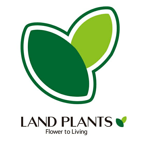 Корни растений в почве. Land plants. Evolution land. Почва. Land plants.