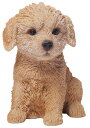 犬の置物 （プードル子犬） お座りイヌ 14065 プードル トイプードル トイプー 子犬 ドッグオーナメント オーナメント 動物 アニマル マスコット ガーデン ガーデニング ガーデンオブジェ オブジェ