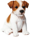 犬の置物 (ジャックラッセルテリア子犬) お座りイヌ 14072 ジャックラッセル テリア 子犬 ドッグオーナメント オーナメント 動物 アニマル マスコット ガーデン ガーデニング ガーデンオブジェ オブジェ