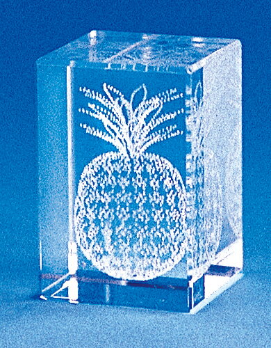 U[A[giThe pineapplej 18012