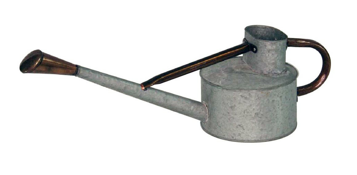 ジョウロ 3.0L （AGED） ジョーロ 水差し みずさし 水さし ハスロ 散水ノズル ノズル シャワー ピッチ..