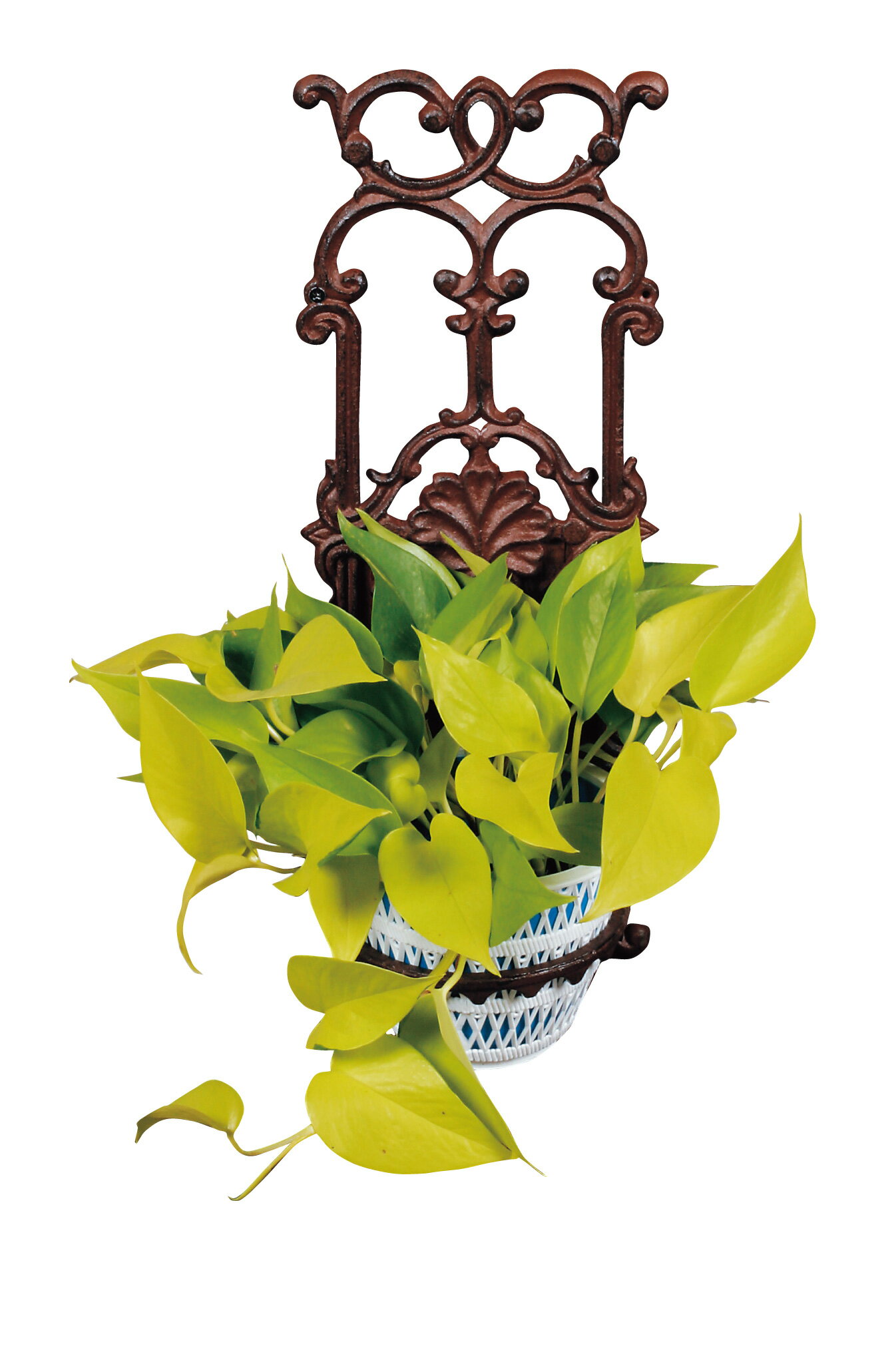 フラワーハンガー 85353