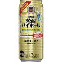 タカラ 焼酎ハイボール 強烈塩レモンサイダー割り 500ML 24本 ケース販売