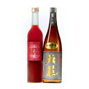 天草古酒 720ml いくり酒 500ml セット 本格米焼酎の古酒といくり（すもも）のリキュールのセット お中元 お歳暮 贈り物