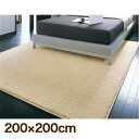 ナチュラル シャギーカーペット【アスレイン】200×200cm ラグ 防炎 防ダニ 抗菌 ホットカーペット対応 日本製