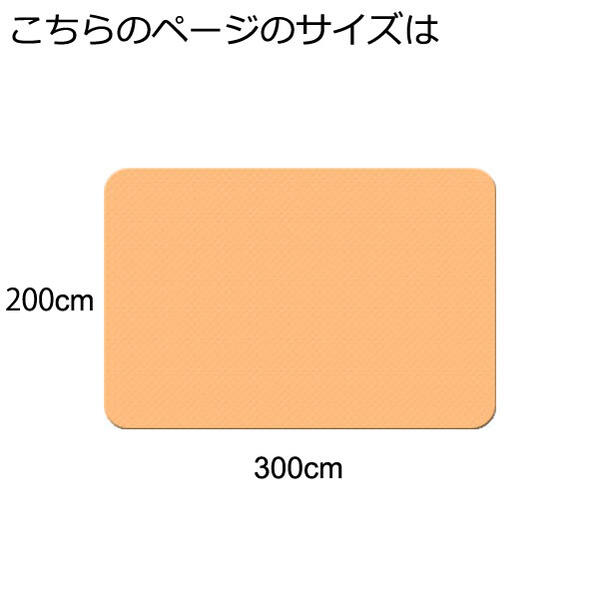 籐カーペット 籐あじろ 200×300cm 裏付 ナチュラル ラグ カーペット和風 ナチュラル インテリア 夏 模様替え 涼しい 籐敷物 【座の彩】 [2]