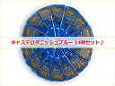 【14個セット】キャステロ ダニッシュブルー チーズ 100g×14パック◆デンマーク産※離水しやすい商品です|青かび|キャステロブルー|大容量|まとめ買い|業務用|大人買い|パック　冷蔵便