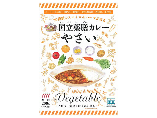 国立薬膳カレー 野菜 辛口 200g