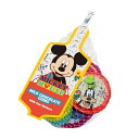 【SALE】ミッキー&フレンズ ネット入りコインシェイプチョコレート 50g2025年8月31日賞味期限の商品チョコレート コインチョコ コイン型チョコレートデ...