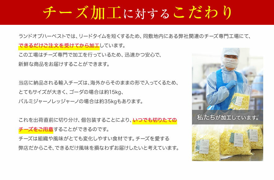 ナチュラルチーズ 9種類セット 各200g※パッケージは変更になる場合がございます｜ゴーダ｜モッツァレラ｜サムソー｜マリボー｜レッドチェダー｜チェダー｜エダム｜オーストラリア｜ニュージーランド｜オランダ｜ドイツ