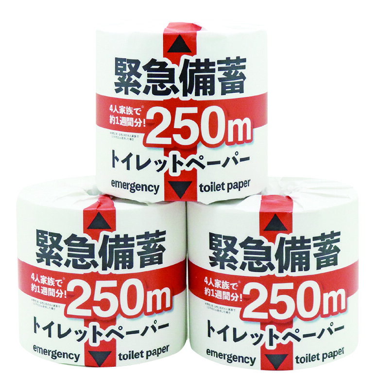 防災用トイレットペーパー （10巻） （4人家族で2ヶ月分）緊急備蓄 250m 1ロールで通常のトイレットペーパー5ロール分の長さ トイレットロール トイレットペーパー 再生紙 紙 ペーパー 衛生用品 シングル 備蓄 常備 緊急備蓄1R250mS 3