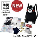 【防災バッグ】 くまモン 非常用 持出リュック 12点セット (くまモンの遠足シート付き) KM-13 非常用持ち出し袋 防災リュック 防災バッグ 男女兼用
