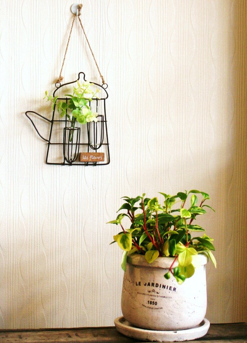 【 インテリア雑貨 】　ワイヤーで造った　とってもキュートな　壁掛けフラワーベース　ユーカリピックs ...