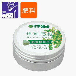 HYPONeX コーヒーノキ の肥料 観葉植物用 鉢の上に置くだけ！ NET約70g 錠剤肥料 観葉植物 コーヒーの木 2