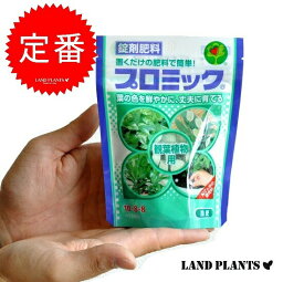 プロミック　置くだけ肥料 ベンガルゴムの肥料　観葉植物専用 鉢土の上にパラっと置くだけ！　NET150g　HYPONeX　敬老の日　ポイント消化　観葉植物