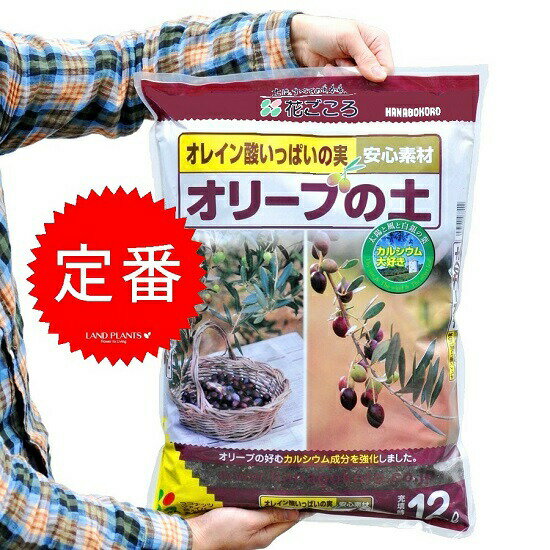 楽天市場 ガーデン用品 オリーブの土 12l オリーブの木専用の土です つち 土 敬老の日 ポイント消化 観葉植物 ランドプランツ 楽天市場 ガーデン用品 オリーブの土 12l オリーブの木専用の土です つち 土 敬老の日 ポイント消化 観葉植物 ランドプランツ