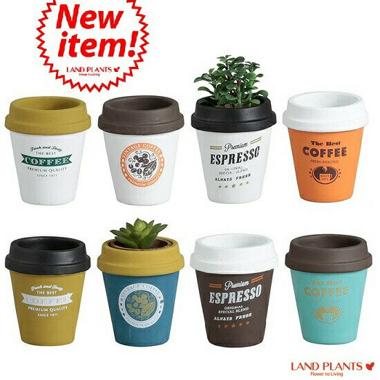 楽天市場 植木鉢 8カラー コーヒーカップ 型 陶器鉢 Mサイズ チルドカップ キッチン 収納 整理 キッチン収納 3号 4号 植木鉢 底穴あり フラワーポット 白 黒 青 オレンジ ミント ネイビー グリーン ランドプランツ