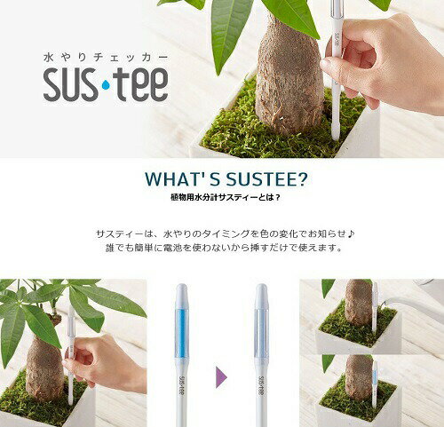 楽天市場 植物の水分計 Sustee サスティー Sサイズ 交換可能 Cabinotier 2号 2 5号 3号 3 5号 観葉植物 ラン 多肉植物 サボテン 花苗 サスティ ランドプランツ 楽天市場 植物の水分計 Sustee サスティー Sサイズ 交換可能 Cabinotier 2号 2 5号 3号 3 5号 観葉植物 ラン 多肉植物 サボテン 花苗 サスティ ランドプランツ