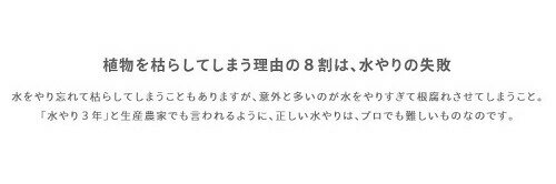 楽天市場 植物の水分計 Sustee サスティー Sサイズ 交換可能 Cabinotier 2号 2 5号 3号 3 5号 観葉植物 ラン 多肉植物 サボテン 花苗 サスティ ランドプランツ 楽天市場 植物の水分計 Sustee サスティー Sサイズ 交換可能 Cabinotier 2号 2 5号 3号 3 5号 観葉植物 ラン 多肉植物 サボテン 花苗 サスティ ランドプランツ