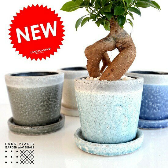 【選べる4色】 やさしい色合い ツートン 貫入釉薬 陶器鉢（各1色） 【鉢の販売】【鉢底石・鉢底ネット付属】 鉢植え 陶器 陶器鉢 鉢 苗 苗木 植木鉢 青色 水色 白色 灰色 ラウンド 観葉植物 【植物の付属なし】