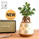 がじゅまる(幹太)ぼってり 受皿一体型 手塗り ペイント&プリント 陶器鉢 ブラウン 【ハイドロ・受皿・育て方】 多幸の樹 精霊が宿る木 ガジュマル 鉢 鉢植え 植木鉢 陶器 焼物 苗 苗木 茶 茶色 観葉植物 観葉 小型