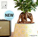がじゅまる(幹太)ぼってり 受皿一体型 手塗り ペイント&プリント 陶器鉢 スカイブルー 【ハイドロ・受皿・育て方】 多幸の樹 精霊が宿る木 ガジュマル 鉢 鉢植え 植木鉢 陶器 焼物 苗 苗木 青色 水色 観葉植物 観葉 小型