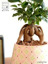 がじゅまる(幹太)ぼってり 受皿一体型 手塗り ペイント&プリント陶器鉢 ピンク 【ハイドロ・受皿・育て方】 多幸の樹 精霊が宿る木 ガジュマル 鉢 鉢植え 植木鉢 陶器 焼物 苗 苗木 桃色 桃 観葉植物 観葉 小型