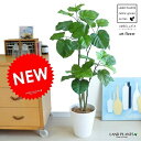観葉植物専門店がお届けする、ウンベラータ高品質造花。 すぐに飾れる鉢セットです♪ ウンベラーダ フェイクグリーン
