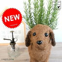 ローズマリー 4号 × ワンちゃんバスケット Mサイズ 2色犬 鉢植え 苗 苗木 薬 立性 ハーブ マンネンロウ 迷迭香 海のしずく ココヤシファイバー 観葉植...